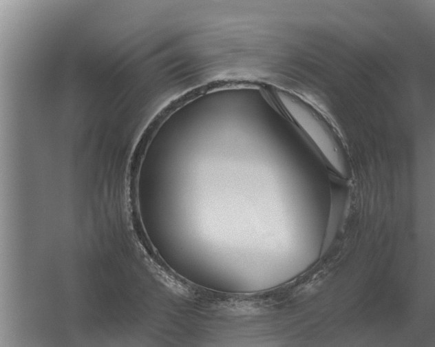 X0000059800976200511041622