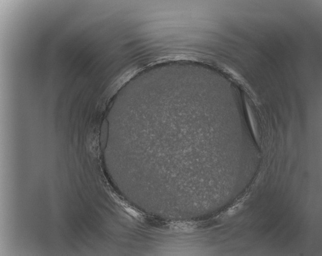 X0000059800977200511041622