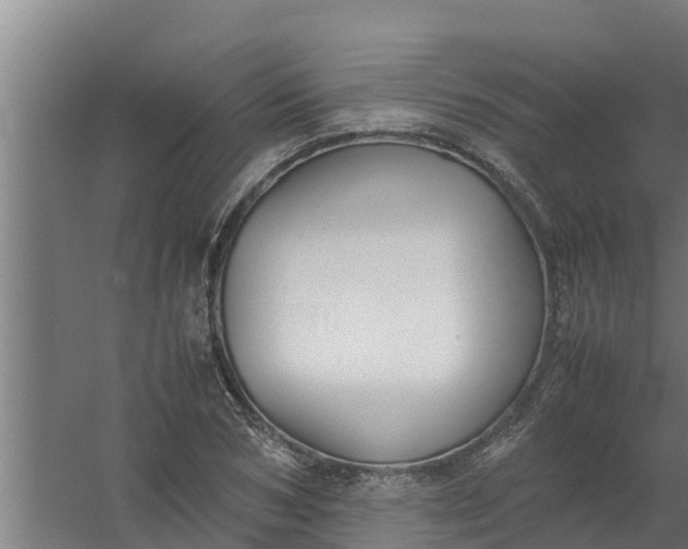 X0000059800978200511041622