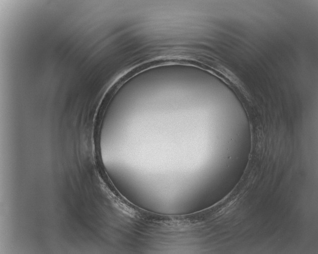 X0000059800980200511041622