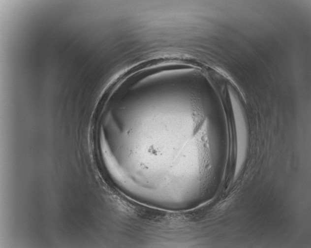 X0000059800983200511041622