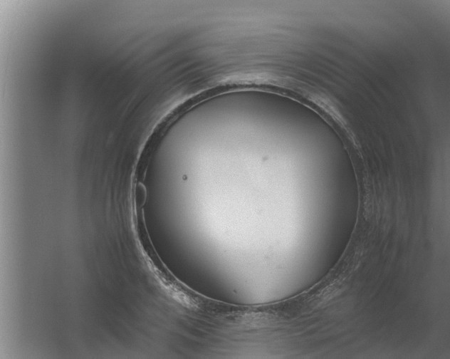 X0000059800984200511041622