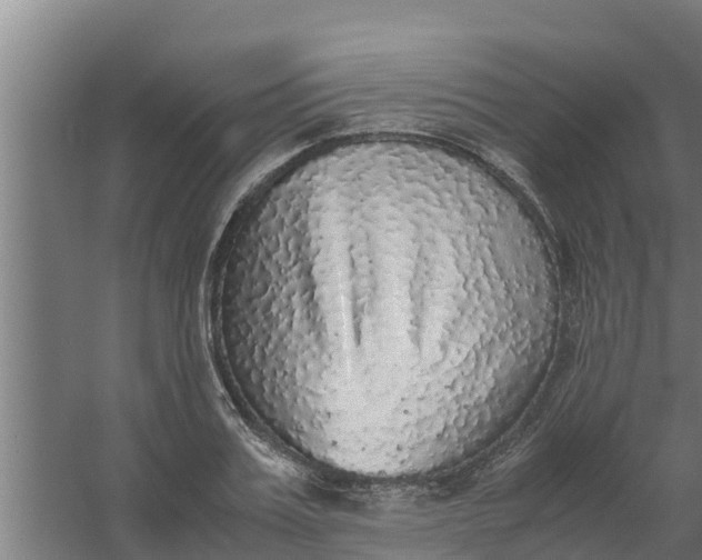 X0000059800987200511041622