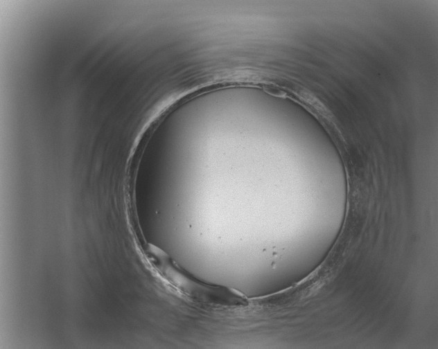 X0000059800989200511041622