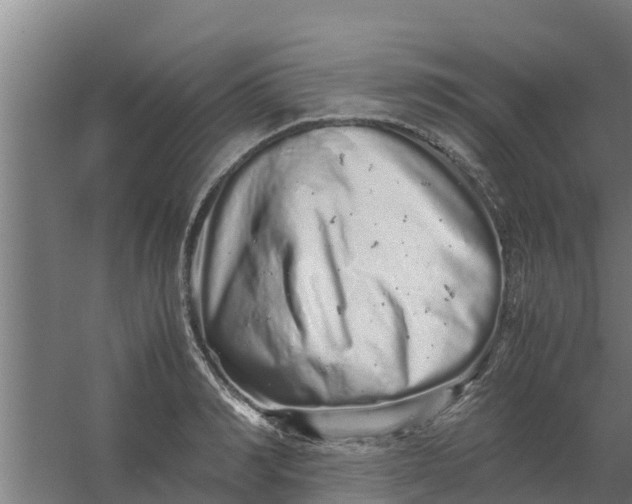 X0000059800990200511041622