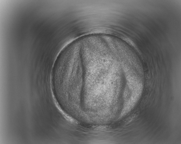 X0000059800991200511041622