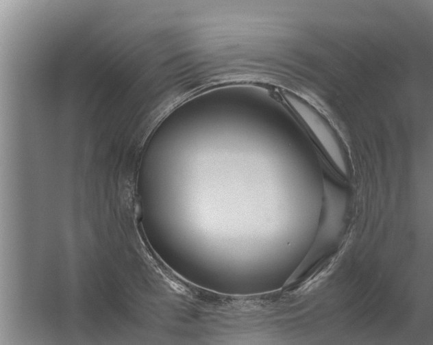 X0000059800993200511041622