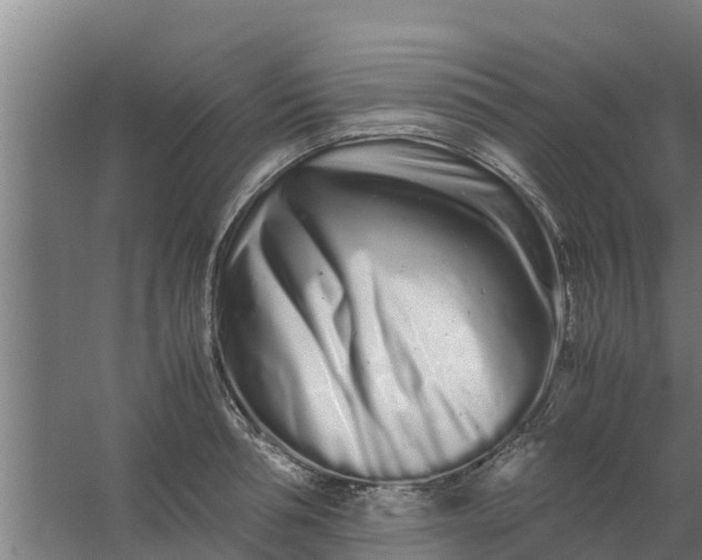 X0000059800994200511041622