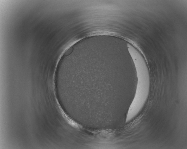 X0000059800995200511041622