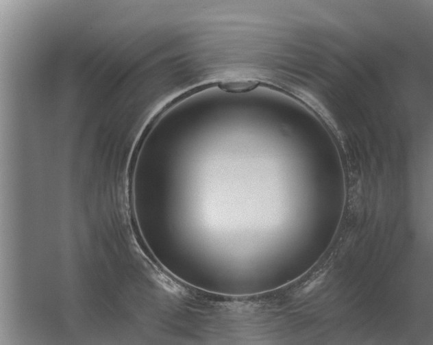 X0000059800996200511041622