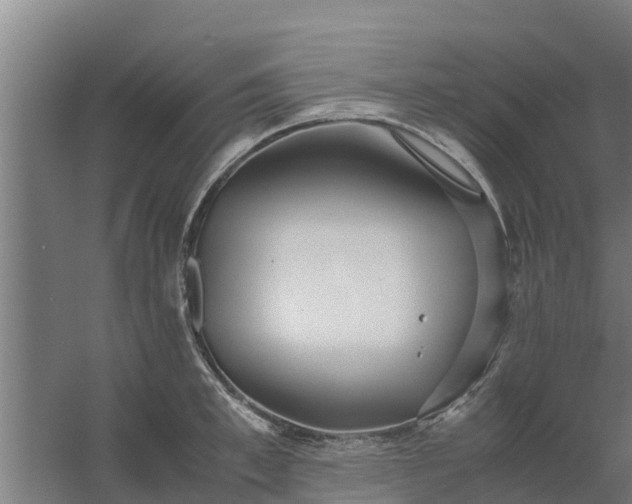 X0000059800997200511041622