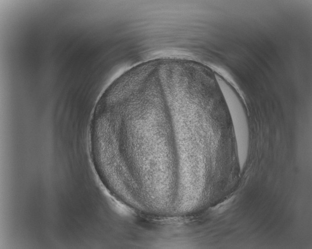 X0000059800999200511041622