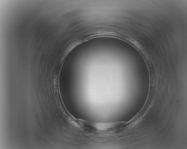 X0000059801001200511041622