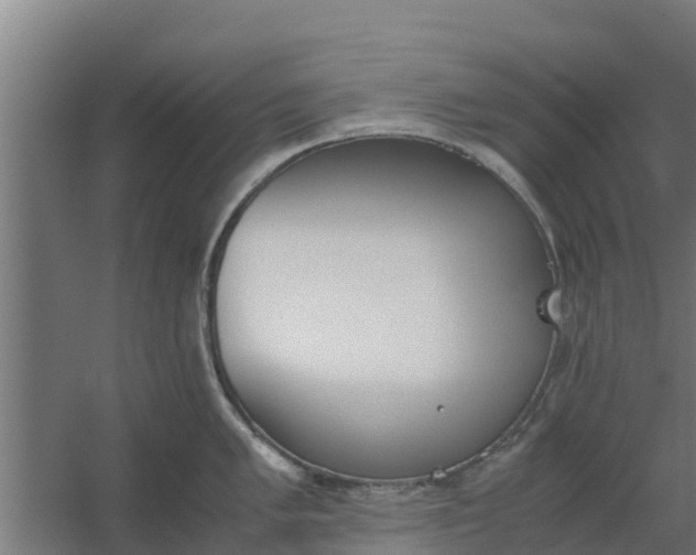 X0000059801005200511041622