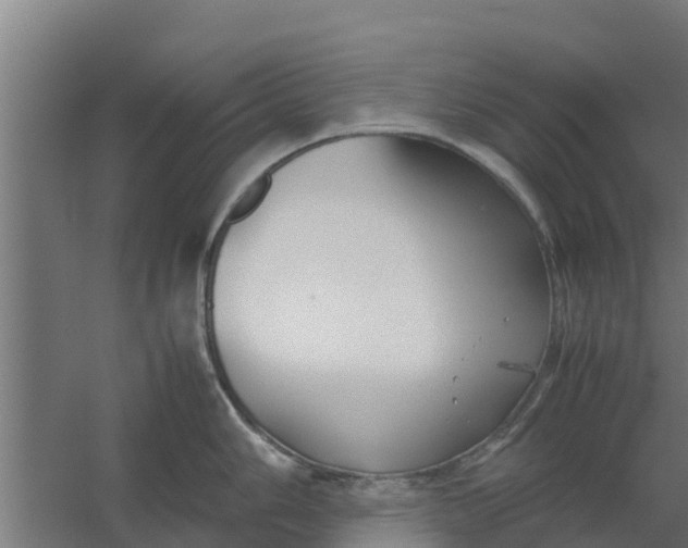 X0000059801006200511041622