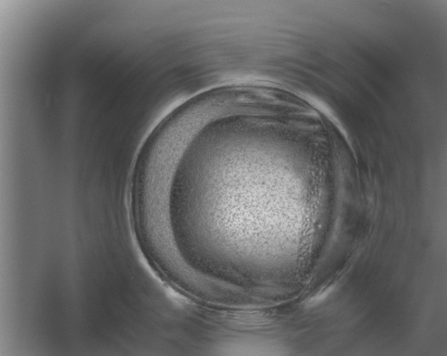 X0000059801007200511041622