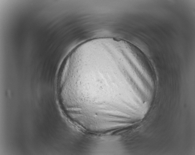 X0000059801008200511041622