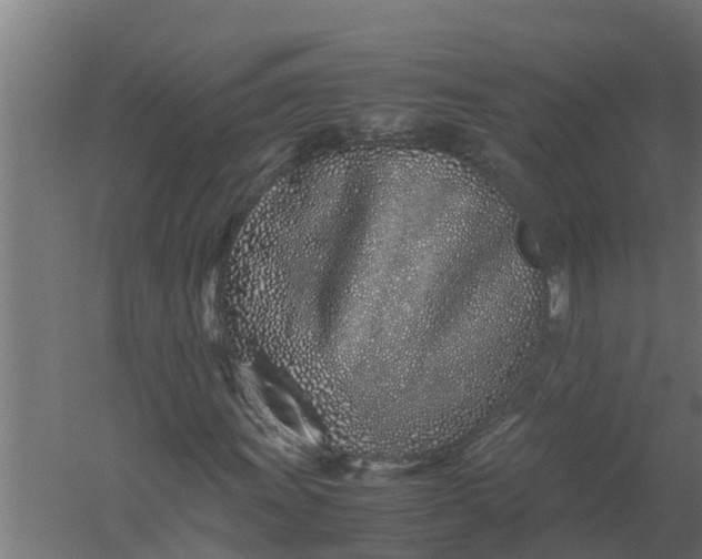 X0000059801011200511041621