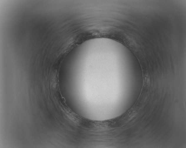 X0000059801012200511041621