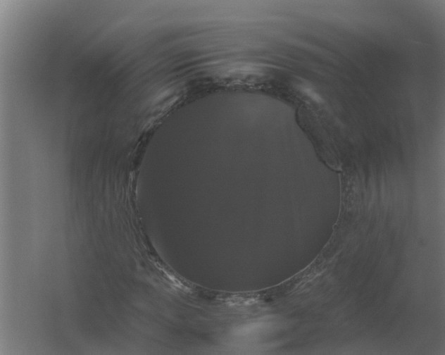 X0000059801013200511041621