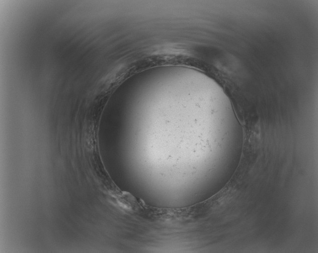 X0000059801014200511041621