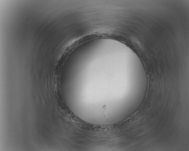 X0000059801016200511041621