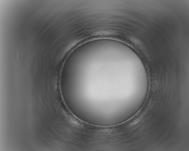 X0000059801017200511041621