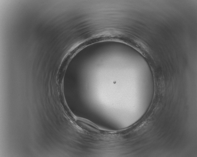 X0000059801018200511041621