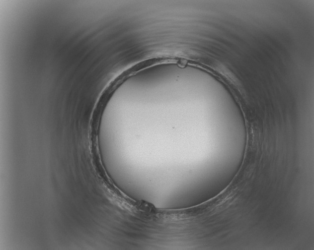 X0000059801020200511041621