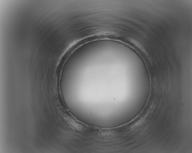 X0000059801021200511041621