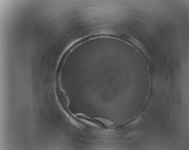 X0000059801024200511041621