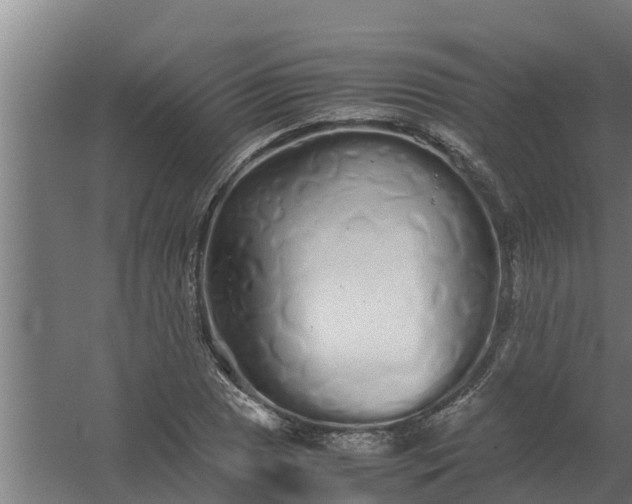 X0000059801025200511041621