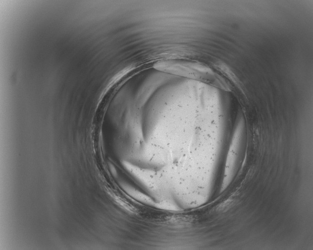 X0000059801026200511041621