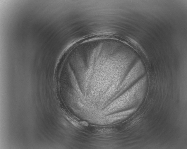 X0000059801027200511041621