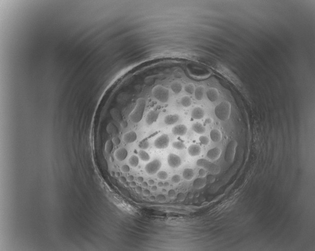 X0000059801028200511041621