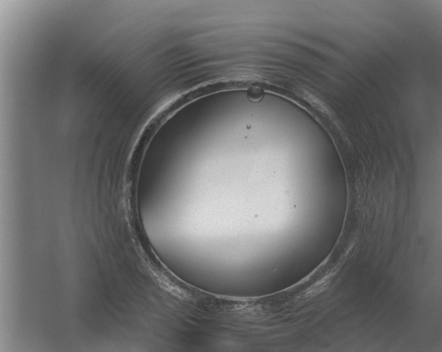 X0000059801029200511041621