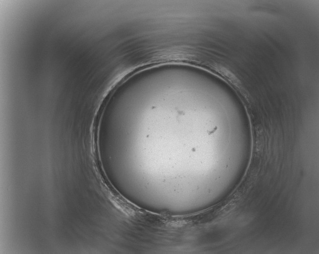 X0000059801031200511041621