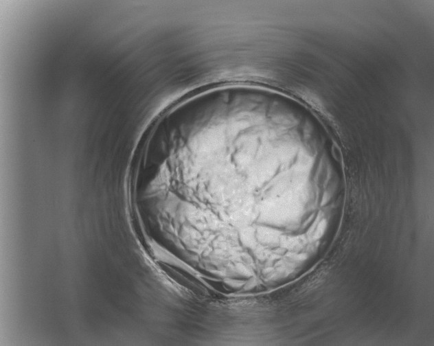 X0000059801032200511041621