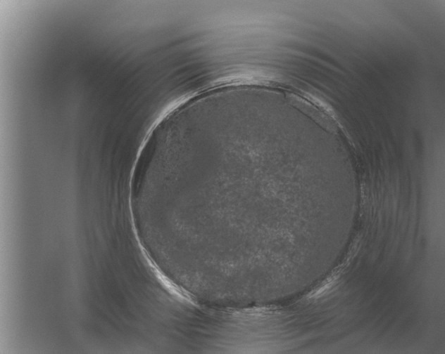 X0000059801034200511041621