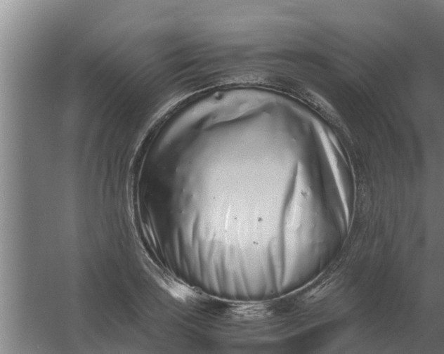 X0000059801035200511041621