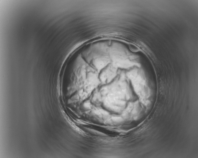 X0000059801036200511041621