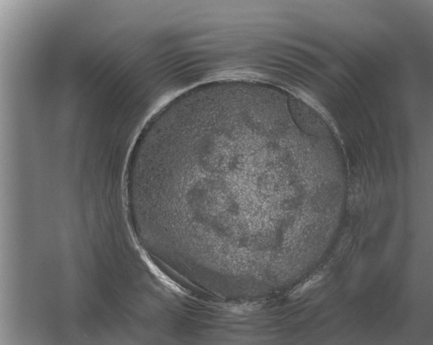 X0000059801037200511041621