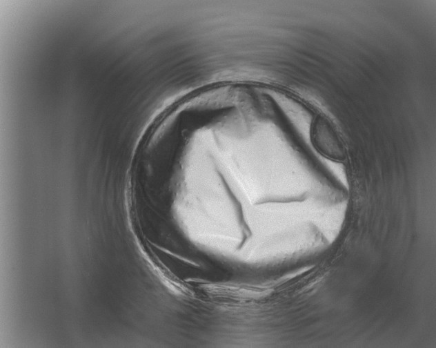 X0000059801040200511041621