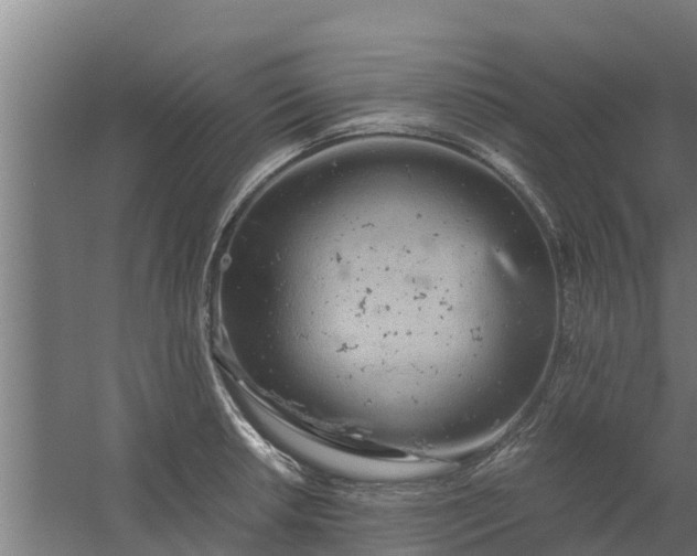 X0000059801042200511041622