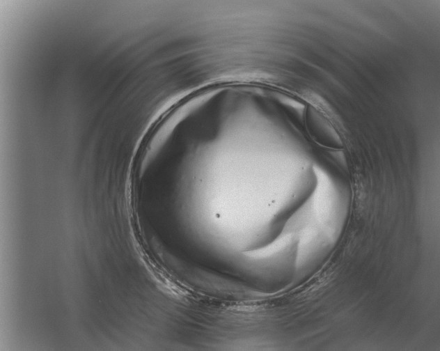 X0000059801044200511041622