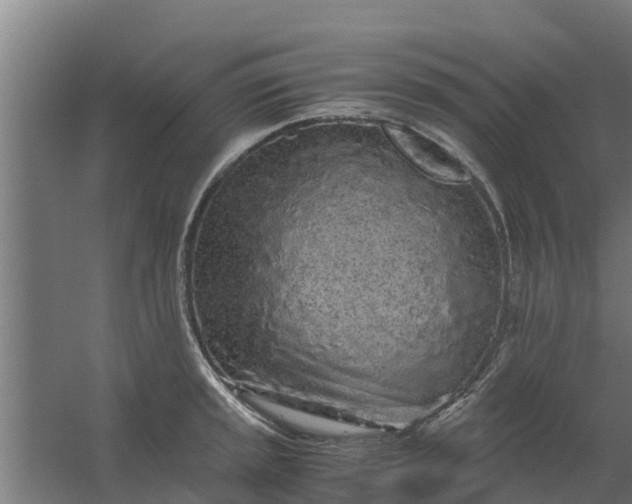 X0000059801045200511041622