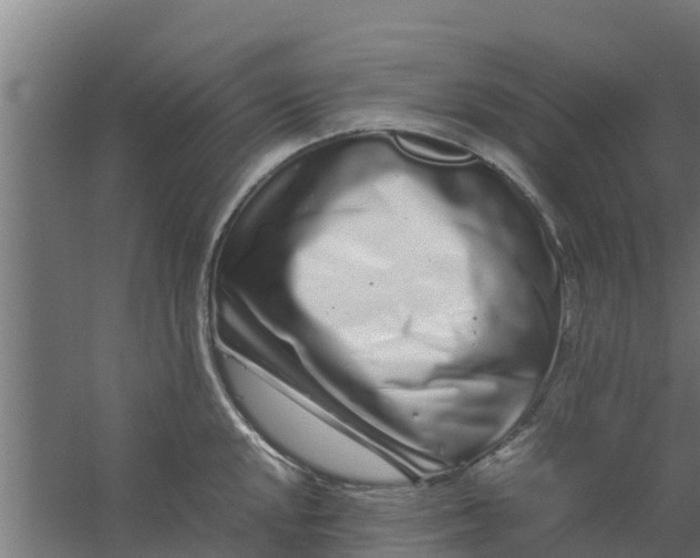 X0000059801048200511041622