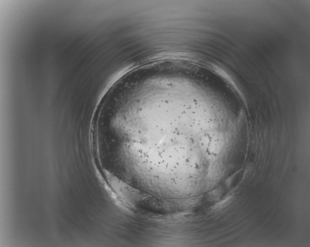 X0000059801050200511041622