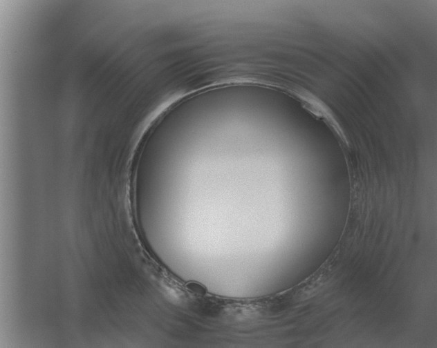 X0000059801051200511041622