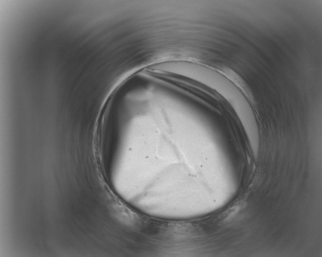 X0000059801052200511041622